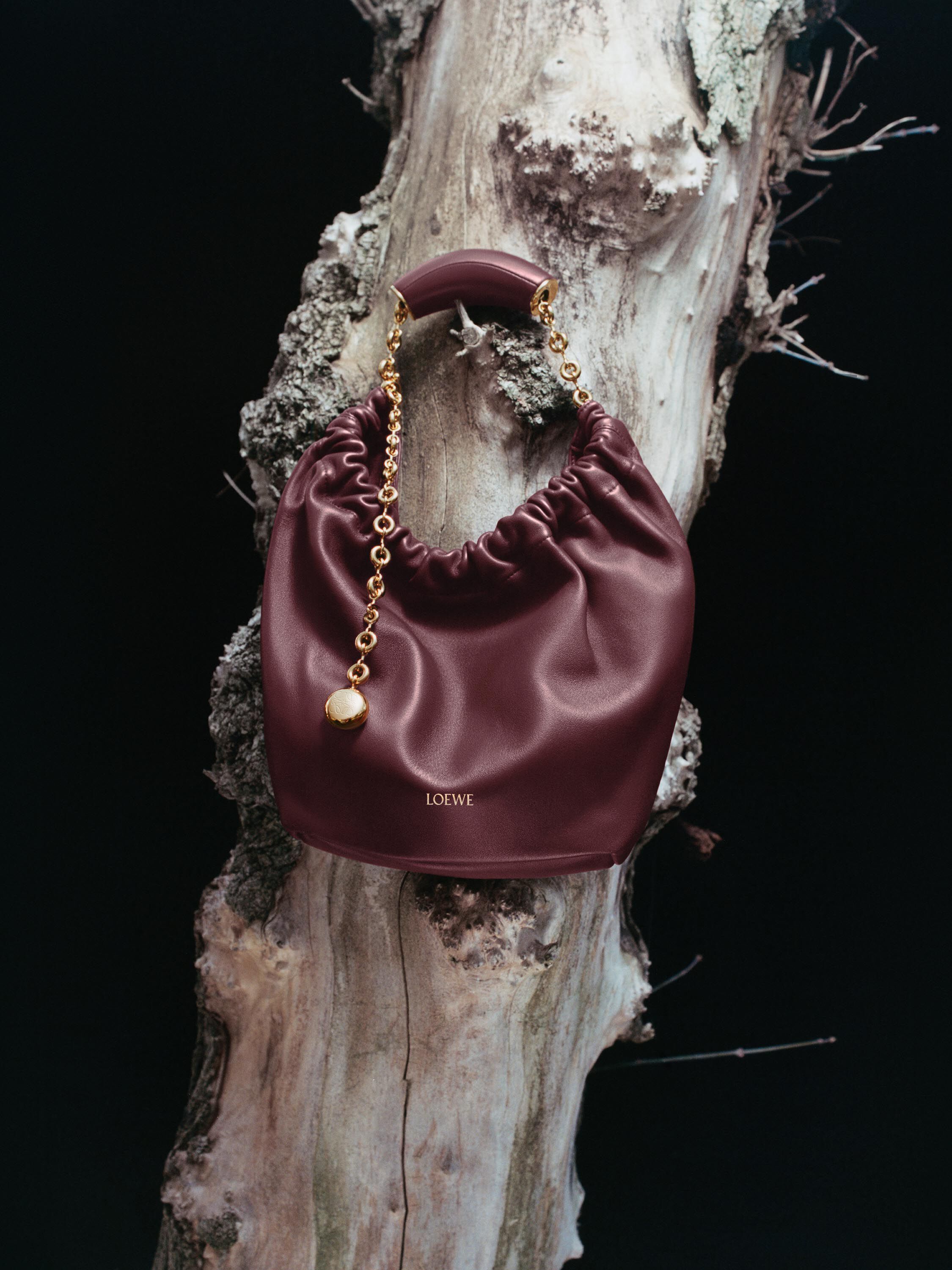 ウィメンズ ラグジュアリーレザー - LOEWE